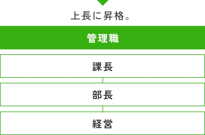 管理職コース 課長 - 部長 - 経営 -上長に昇格。 / 専門職コース 経理 倉庫管理 システム 各プロフェッショナルに。